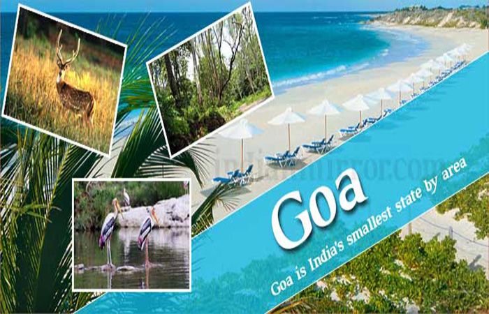 goa-top-img.jpg